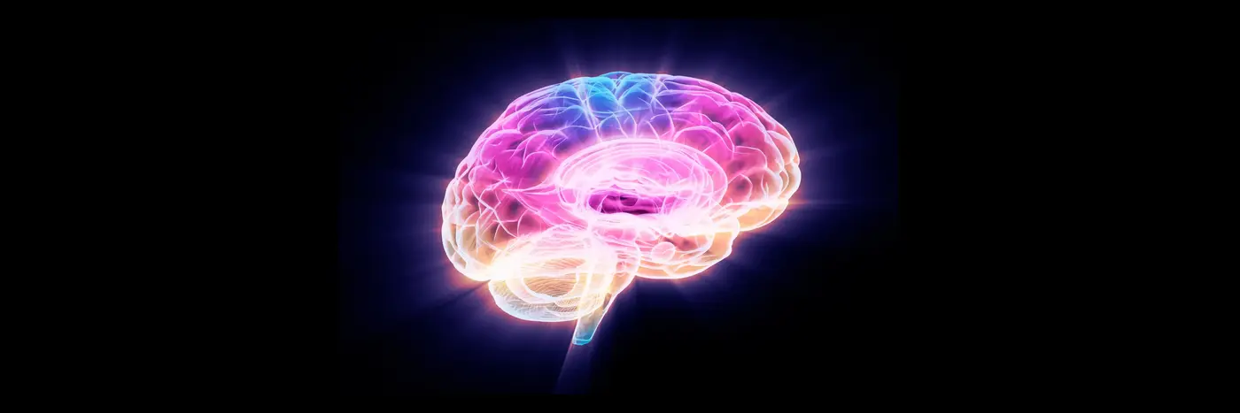 scientists just found a protein that reverses brain aging