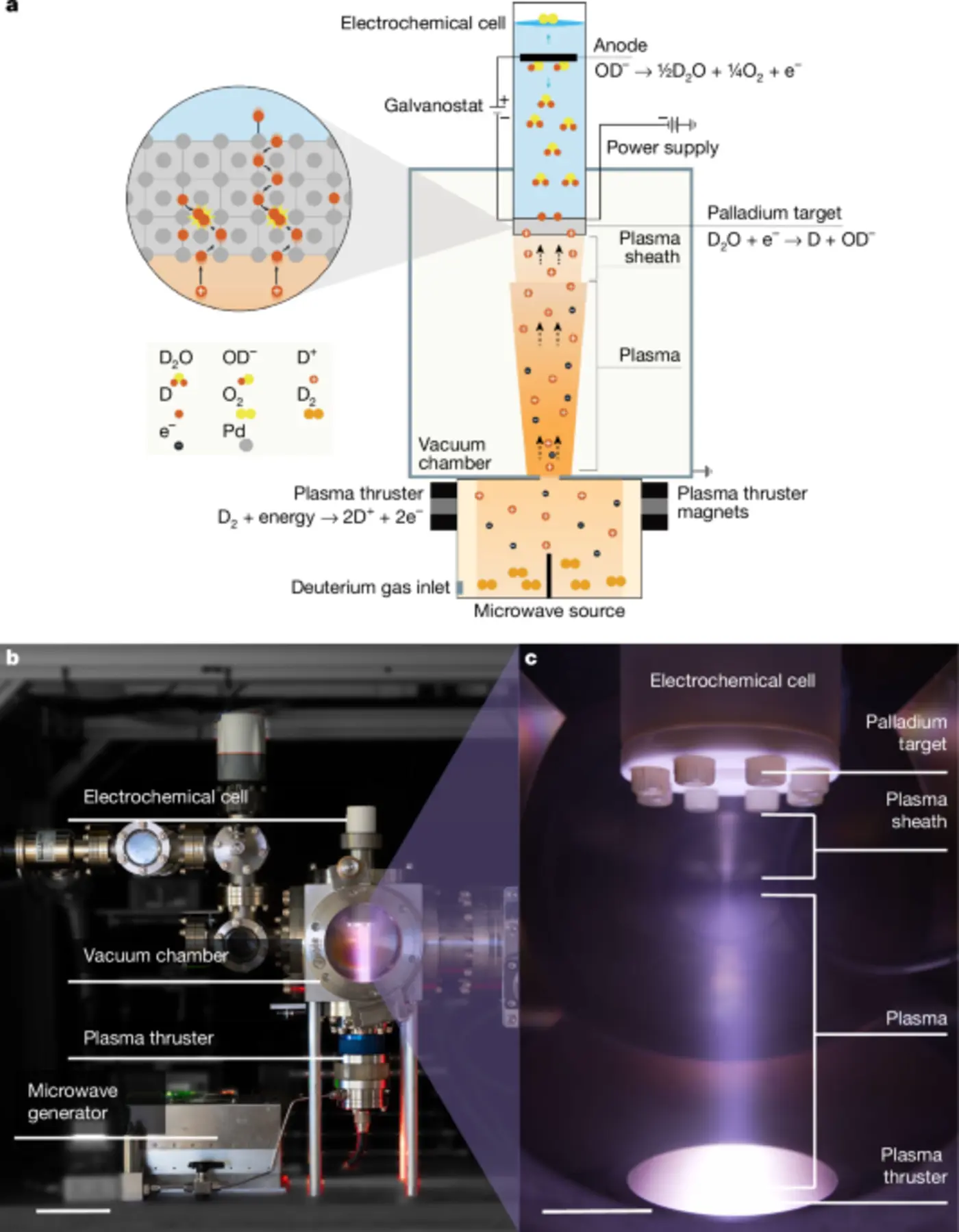 electrochemical loading enhances deuterium fusion rates in a metal target