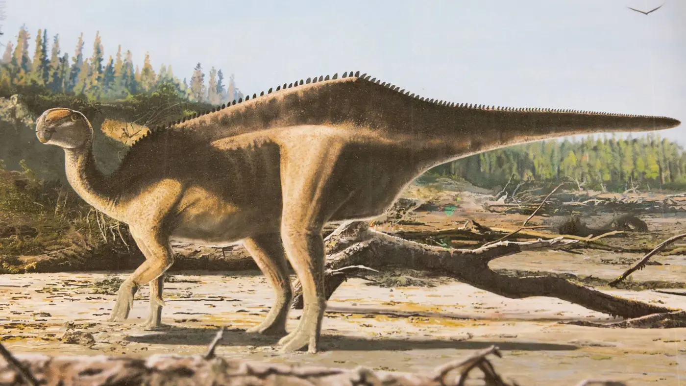 new dinosaur named after recordbreaking yachtswoman