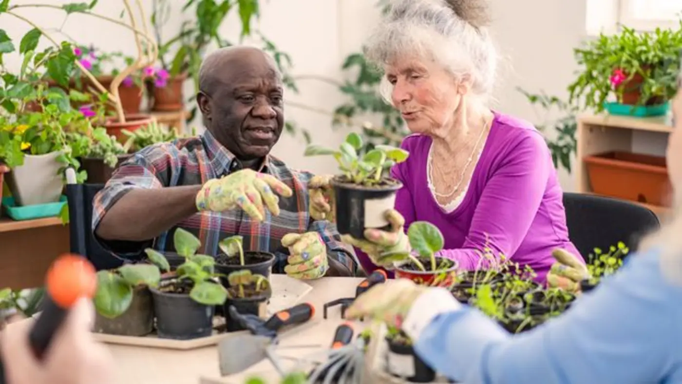 gardening boosts brain health