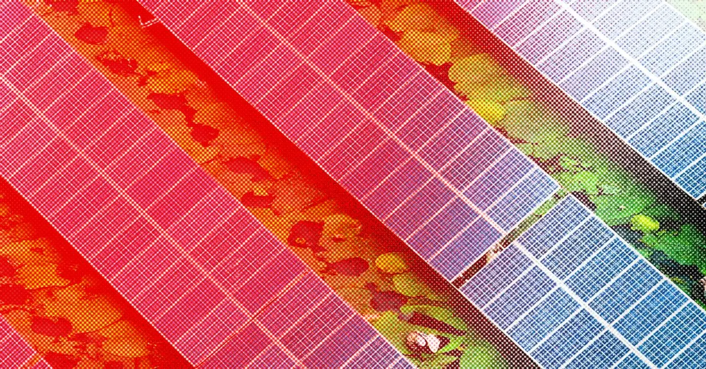 africa is buying a record number of chinese solar panels