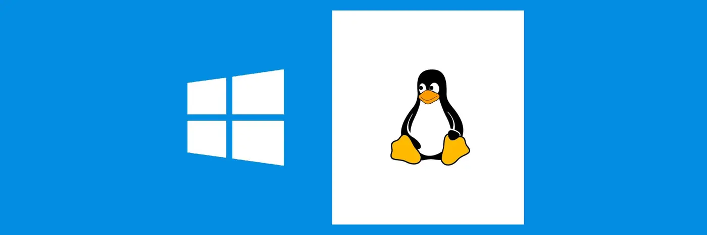 looking back at my transition from windows to linux in an anticustomer age