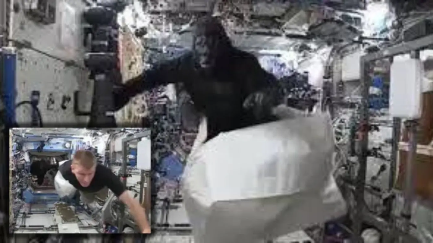 a nasa astronaut once wore a gorilla suit aboard iss snopescom
