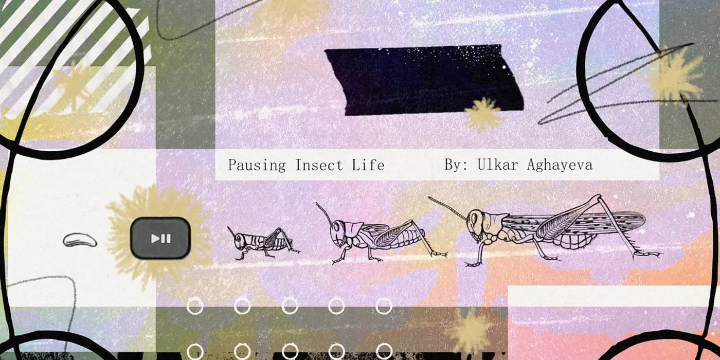 pausing insect activity