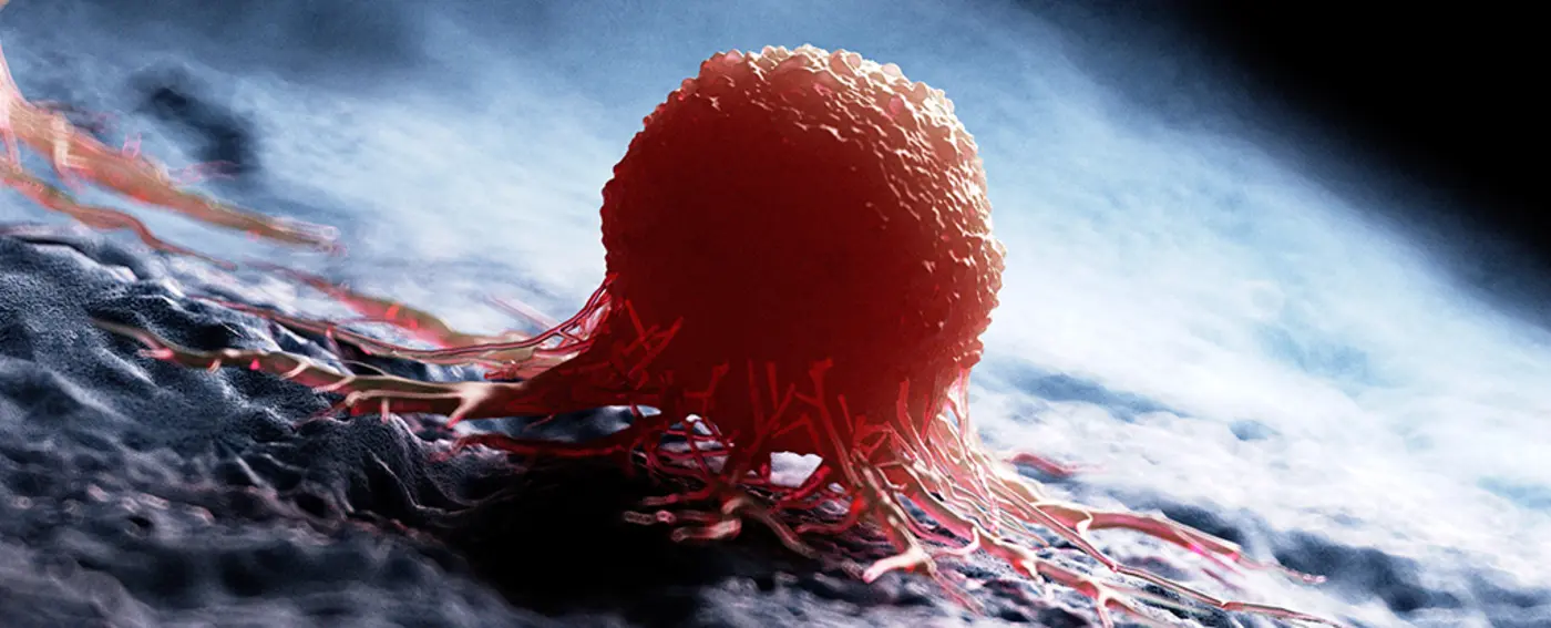 x27universalx27 cancer vaccine destroys resistant tumors in mice