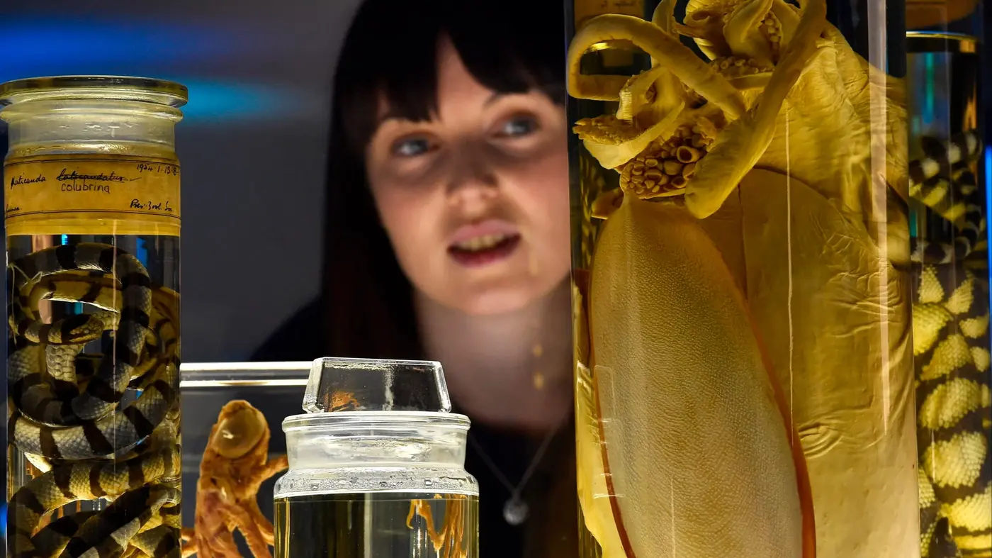ai is opening up naturex27s treasure chest