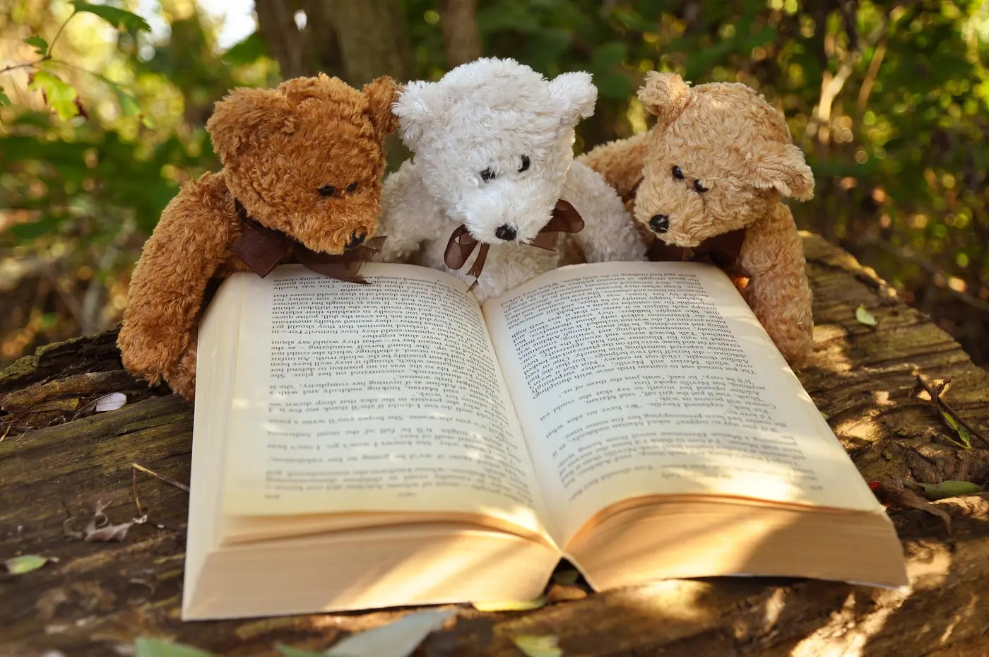 classical papers in computer science and software engineering a reading group