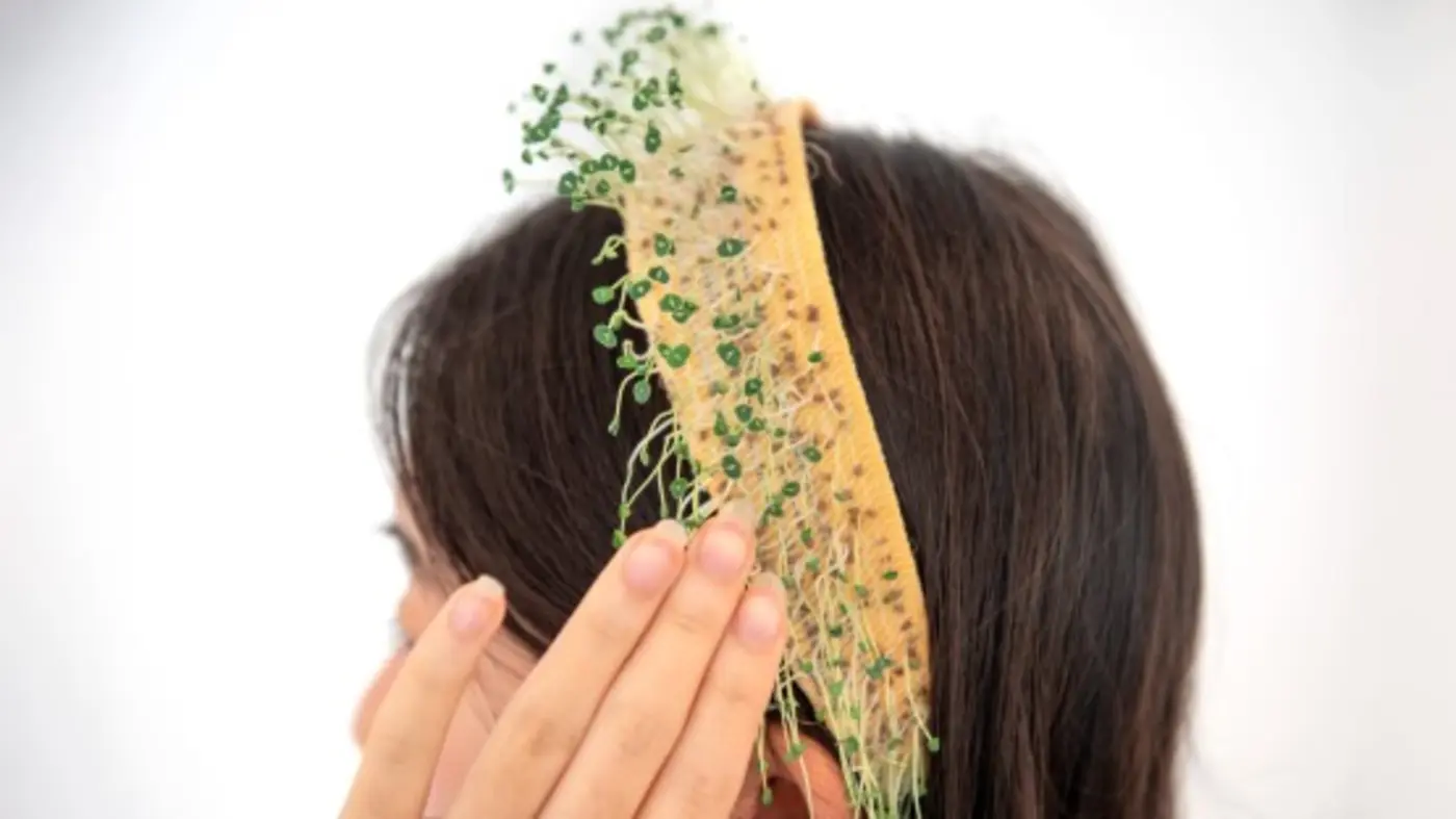 plants you wear livingloom weaves seeds into textiles