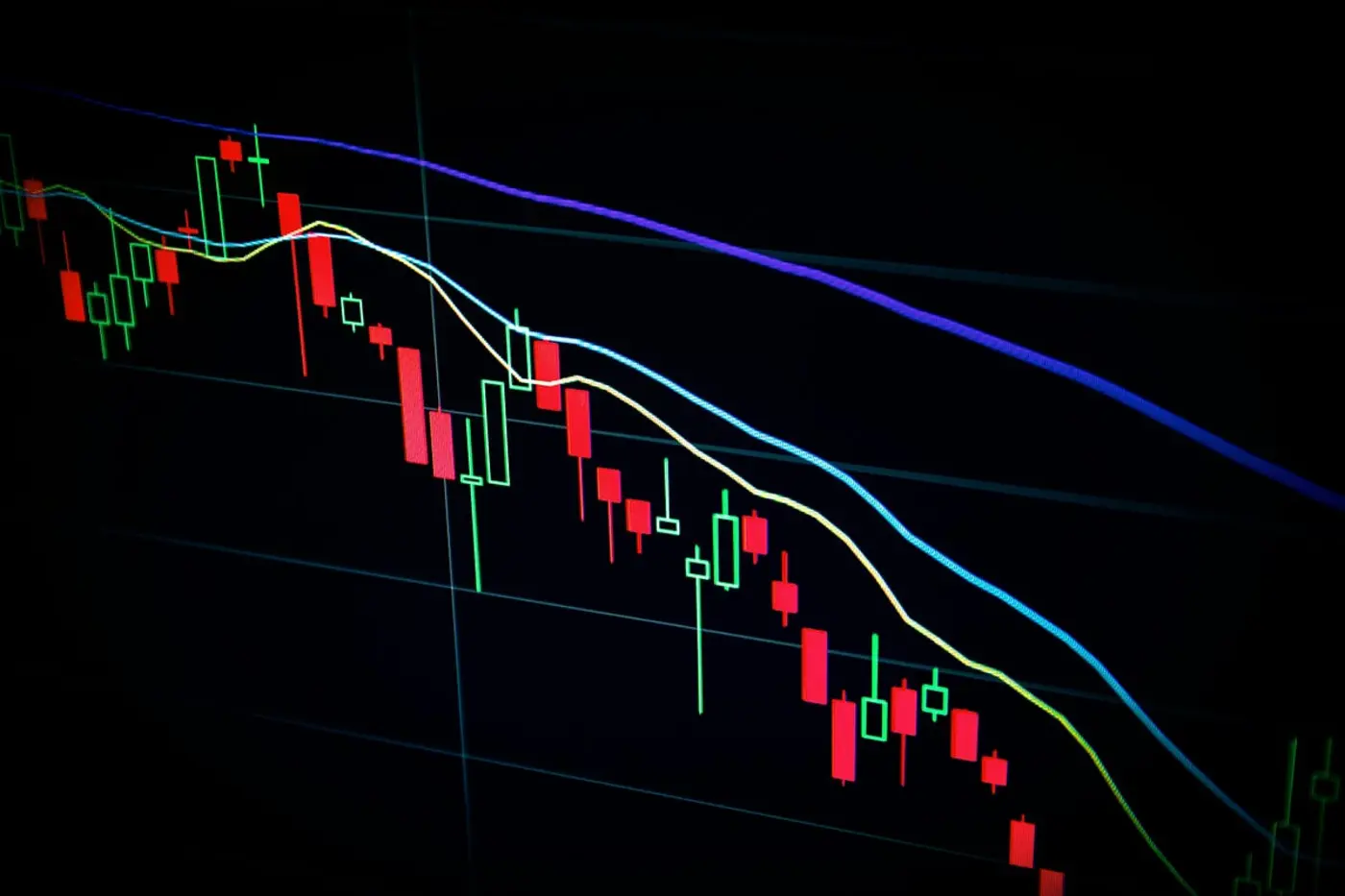 can an llm predict how markets evolve through hallucinations