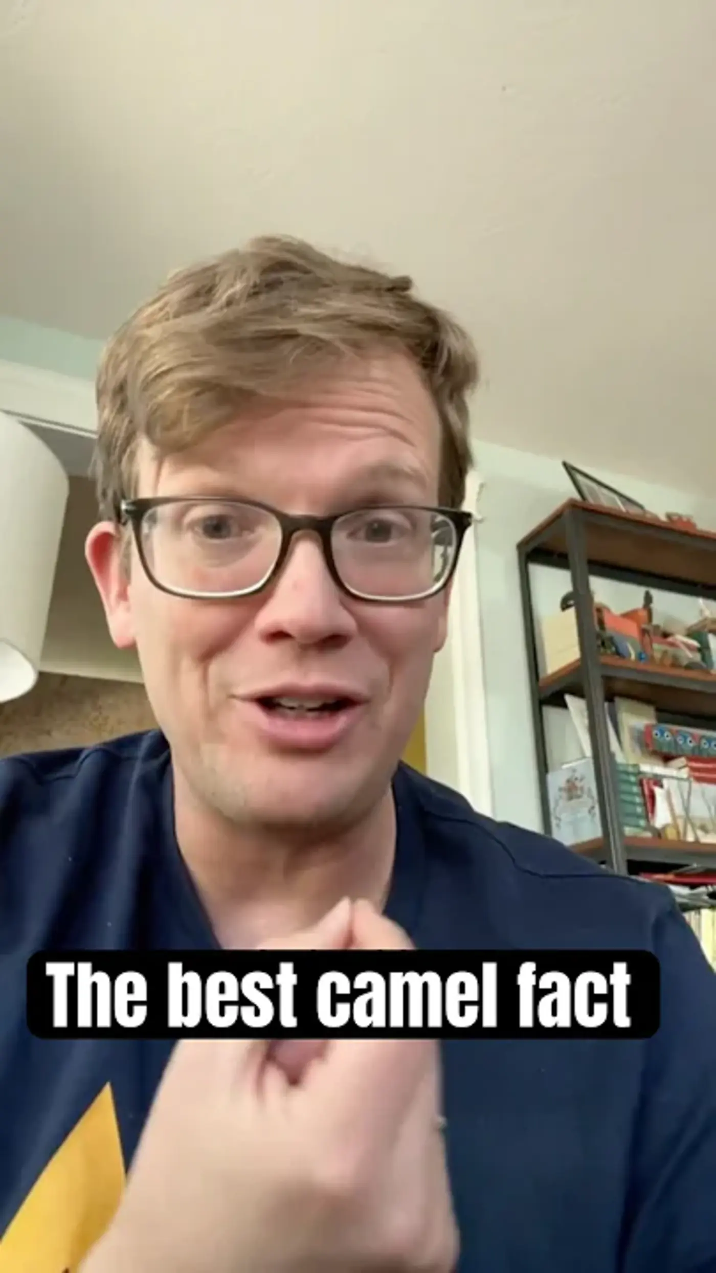 camels store more water in their humps than if they stored water in their humps video