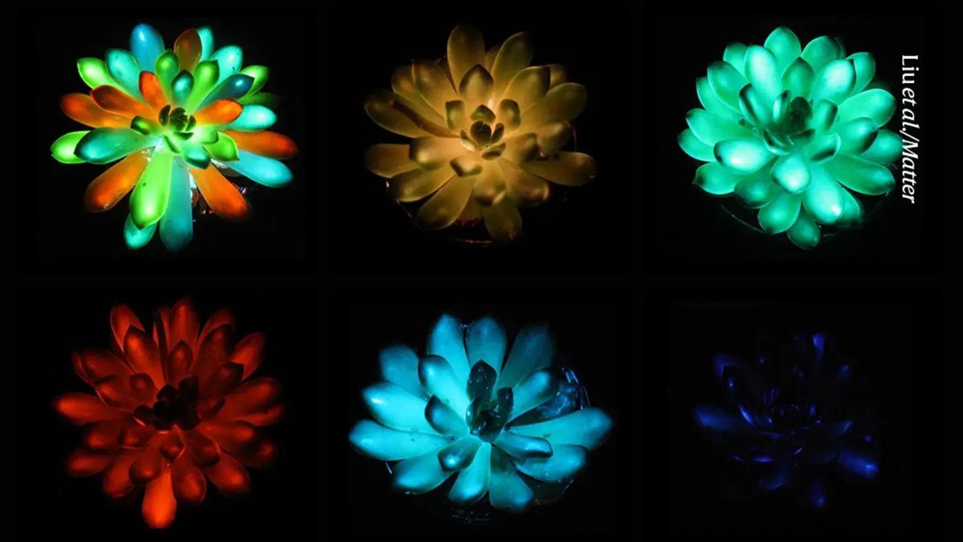 glowinthedark houseplants shine in rainbow of colours