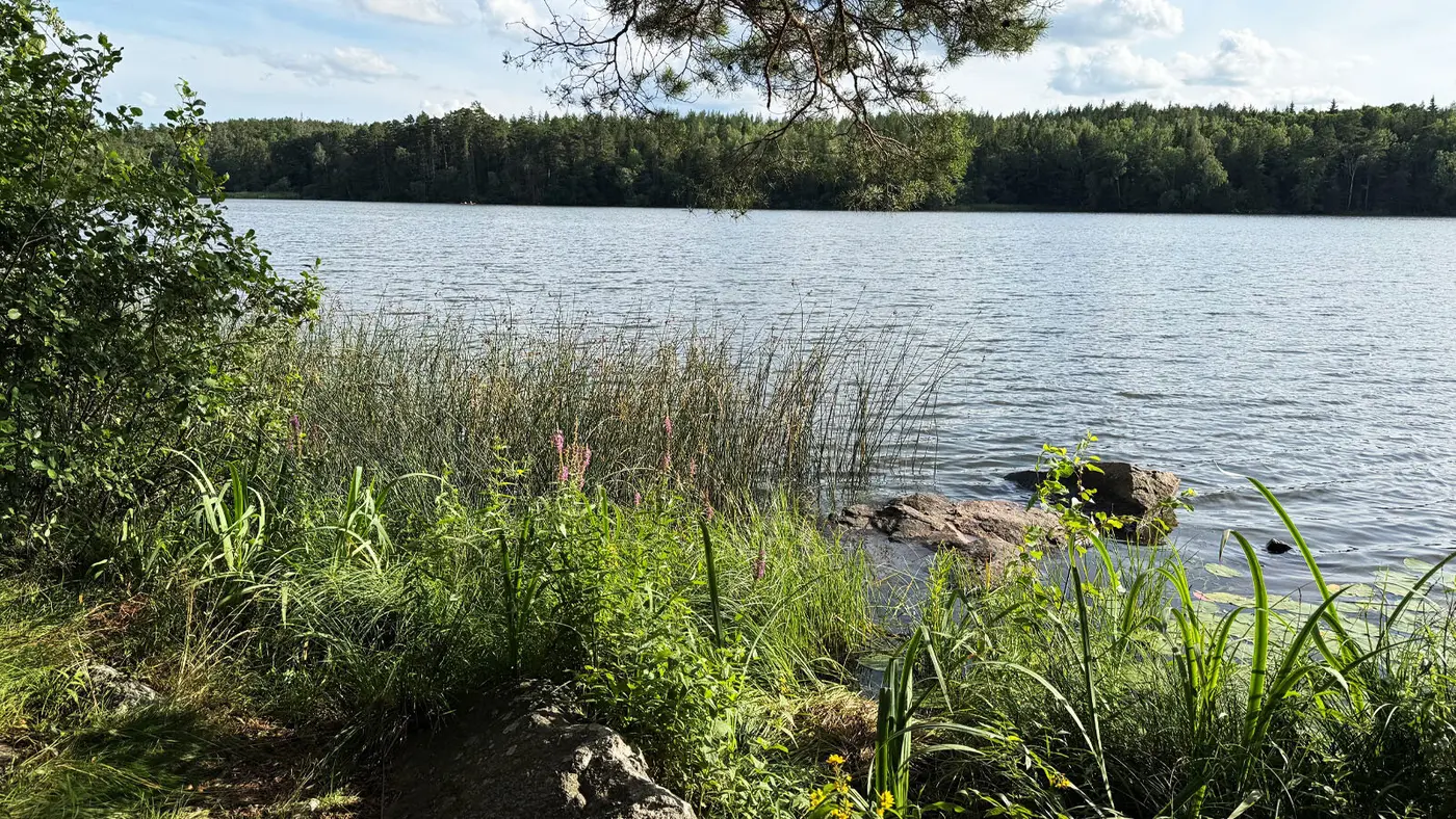 lakes may be carbon sinks not sources thanks to overlooked shorelines