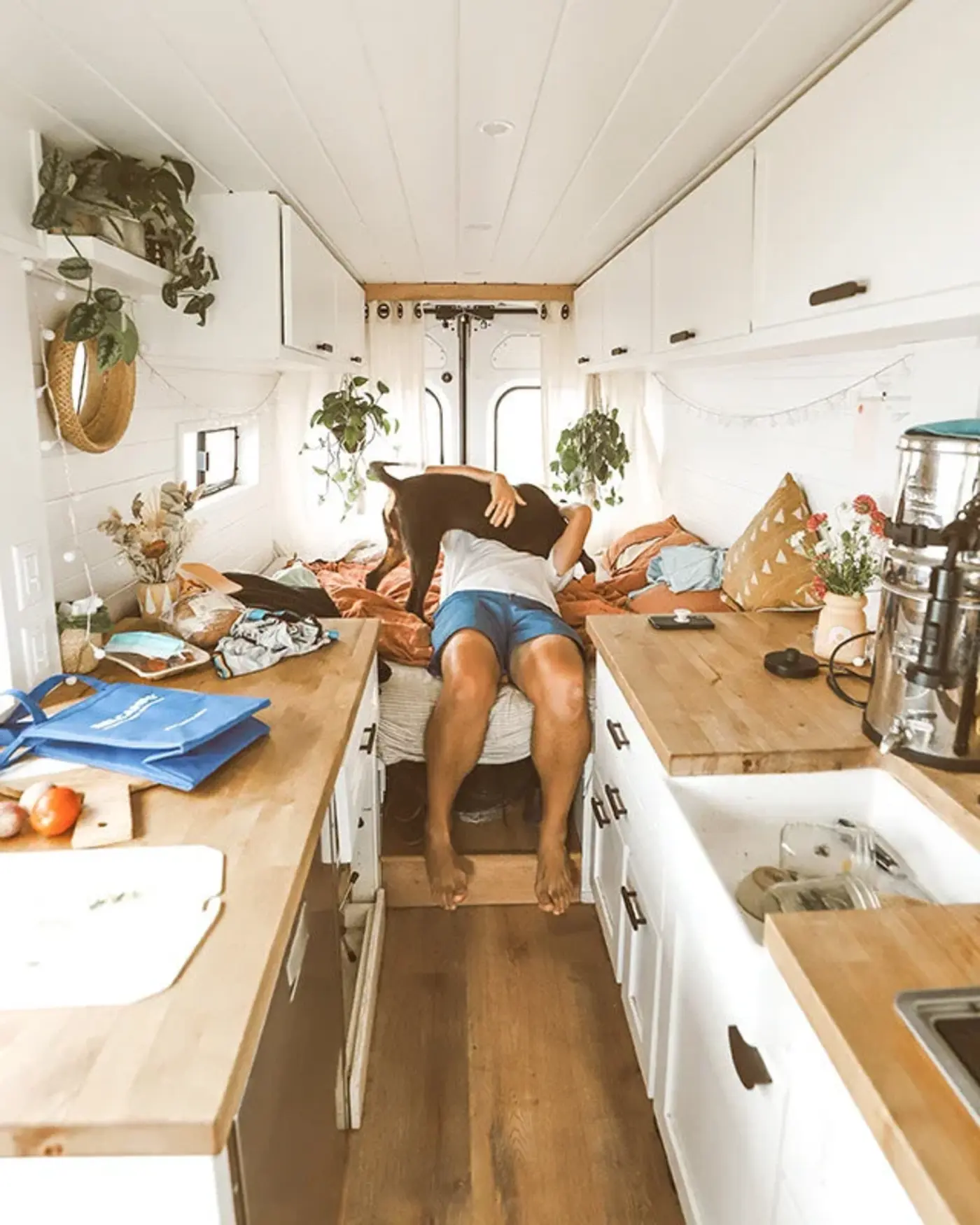 pros and cons of van life