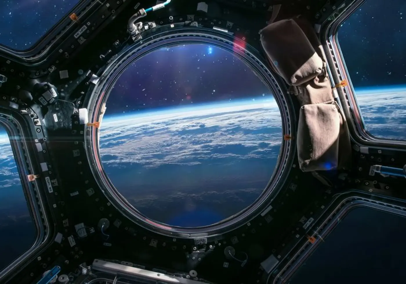 stem cells are faster in space
