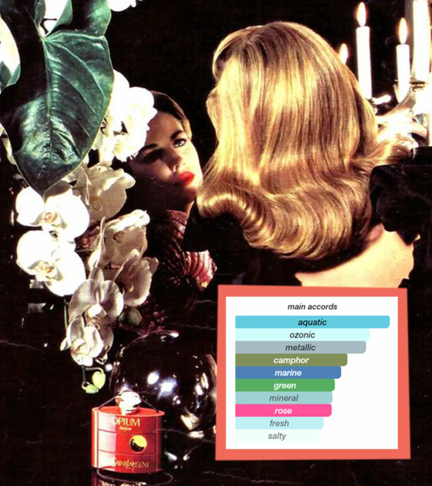 fragrantica unhinged reviews and the joy of niche internet spaces 2024