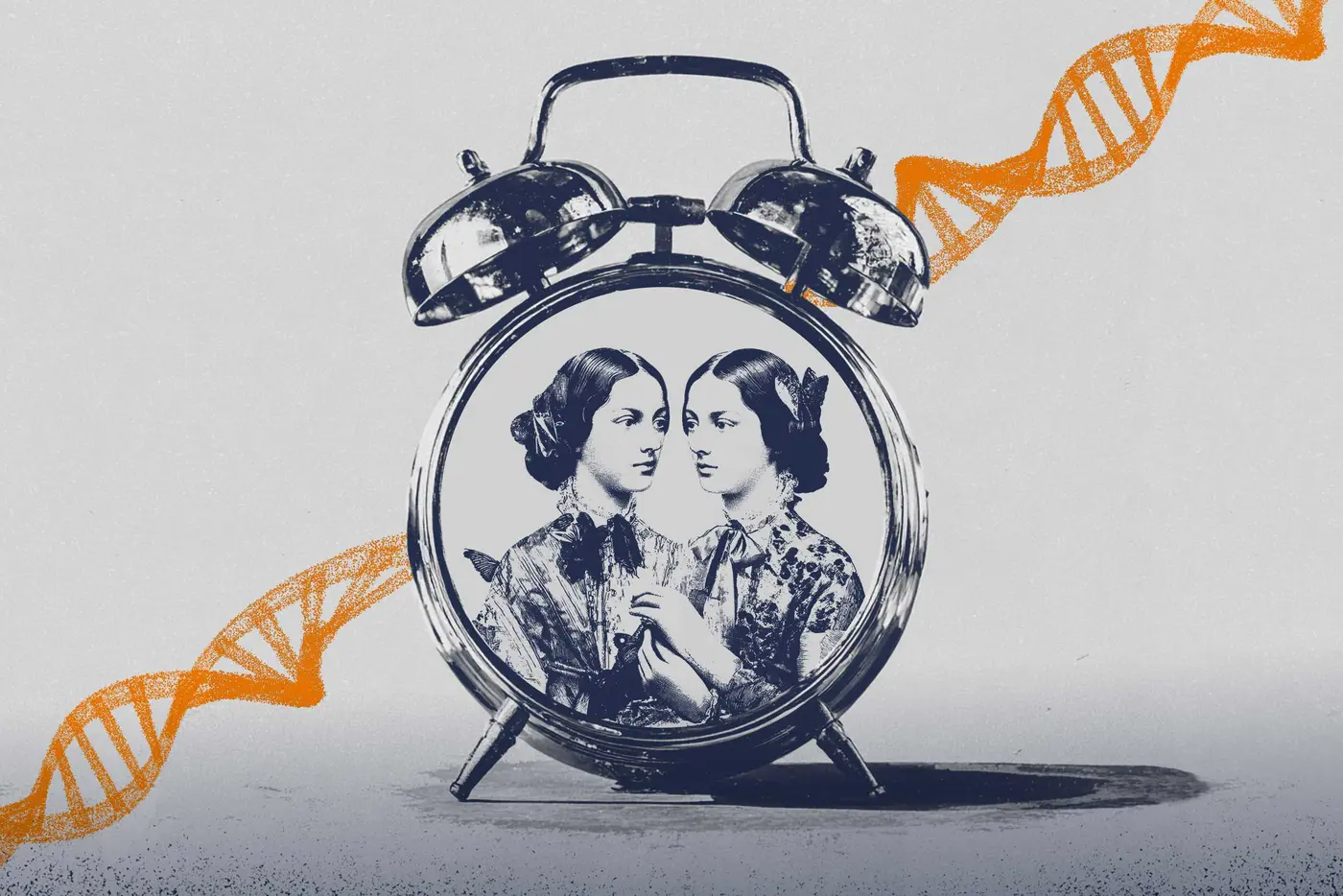 uva study of identical twins links faster aging to memory decline