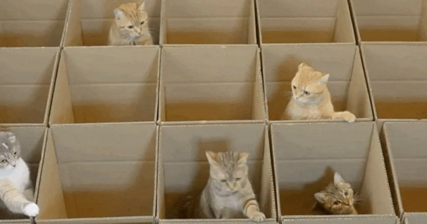 npm in a box containerizing package managers for security 2022