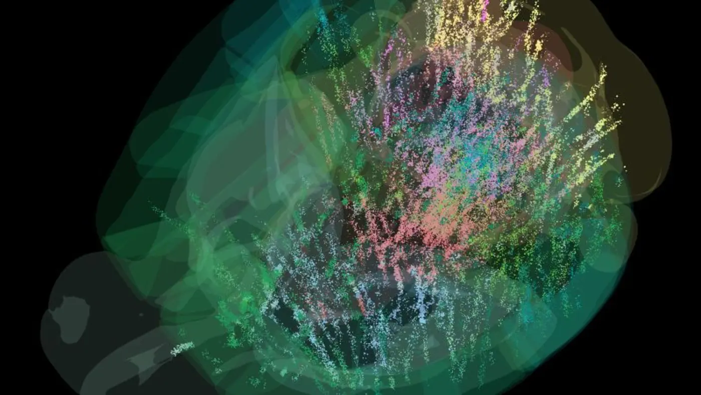 researchers publish brain map showing how decisions are made