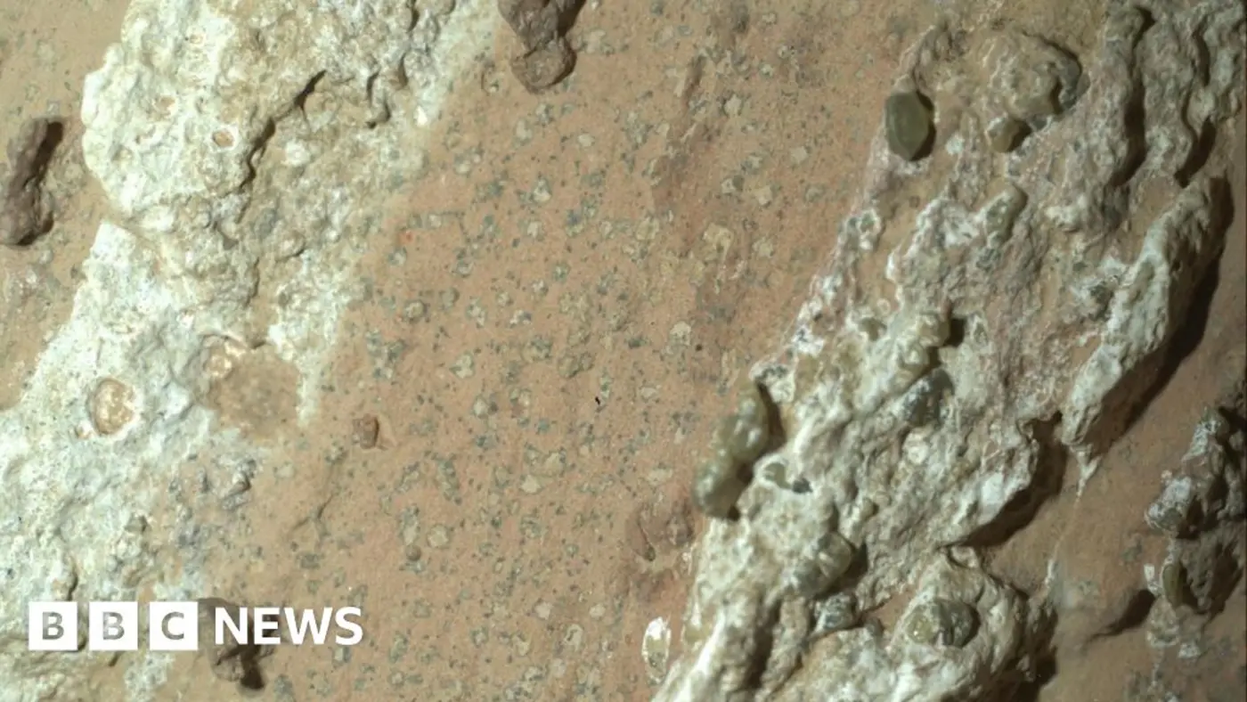 life on mars x27leopardspotx27 rocks could be biggest clue yet