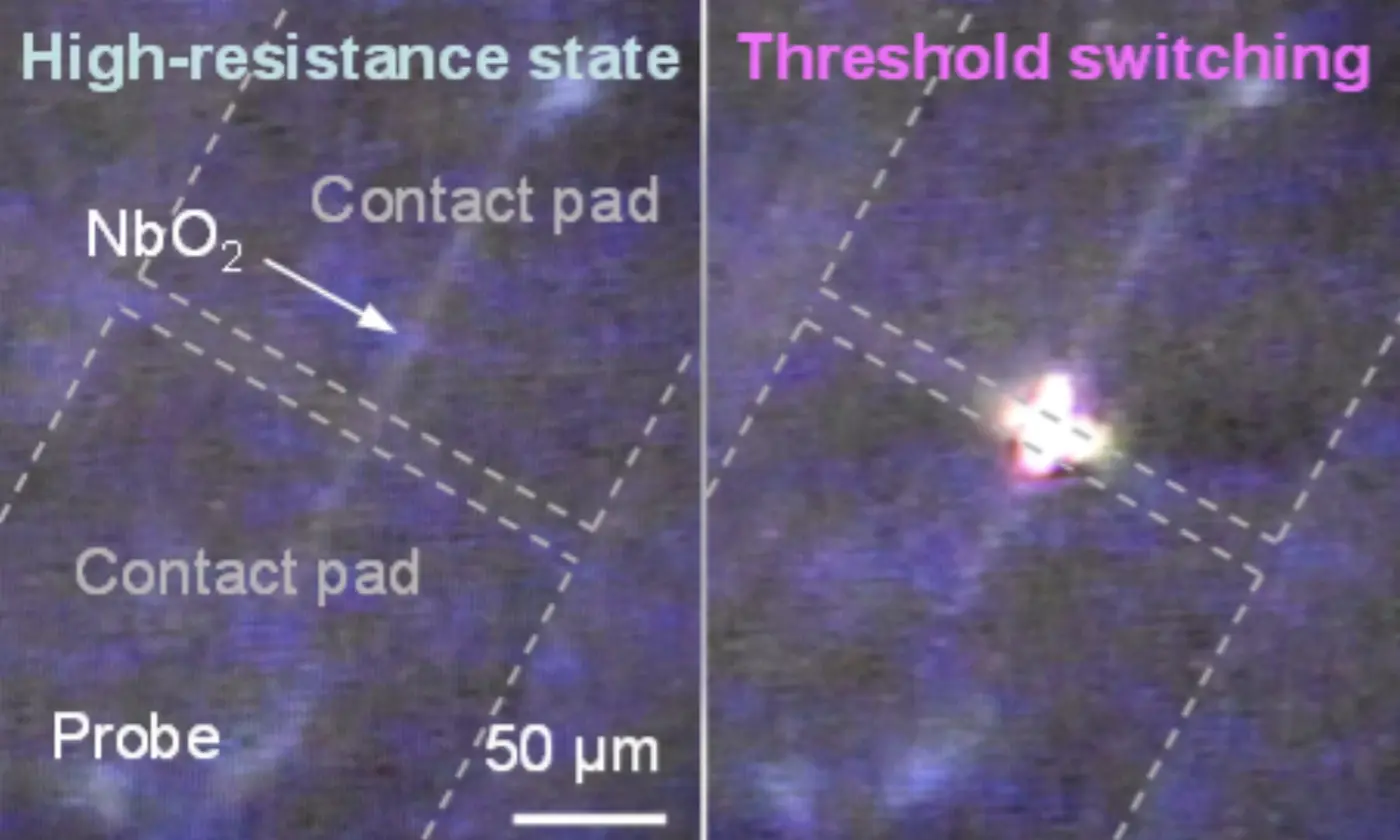 electrooptical mott neurons made of niobium dioxide