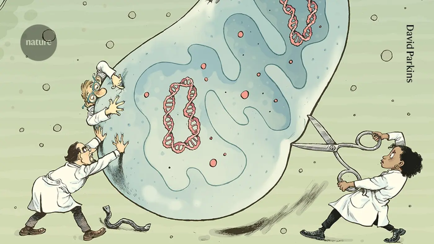 crisprlike tools that finally can edit mitochondria dna could be revolutionary