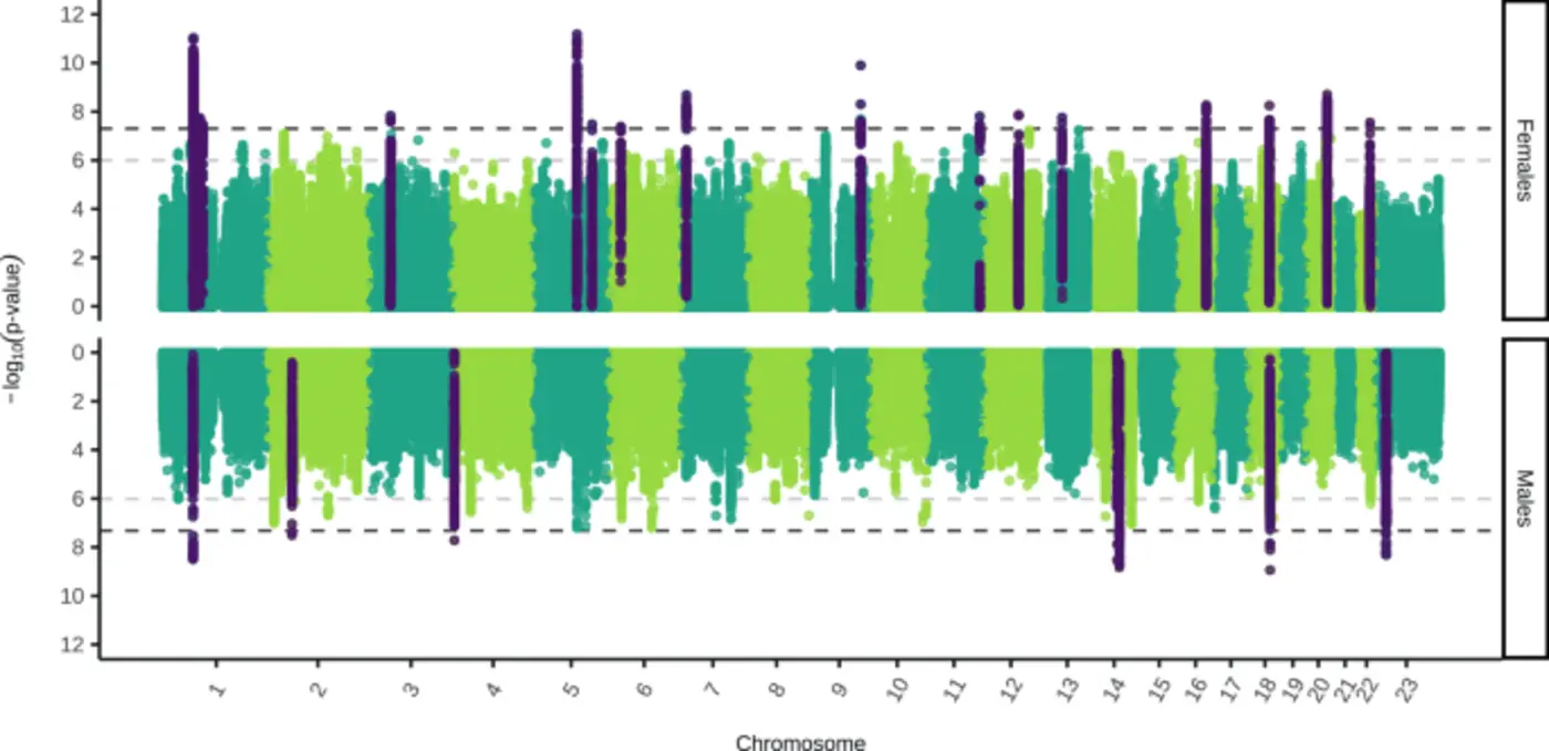sexstratified genomewide association metaanalysis of major depression