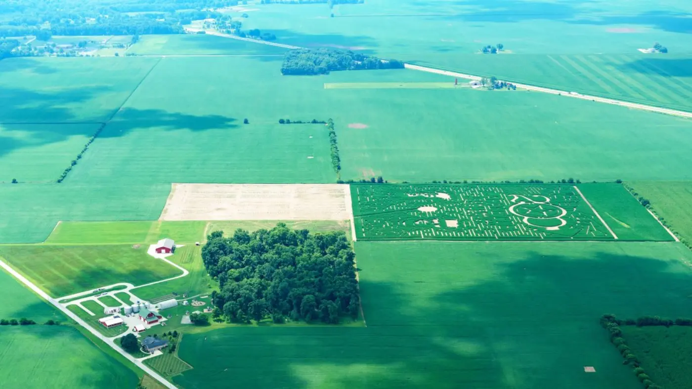 the making of a worldclass corn maze