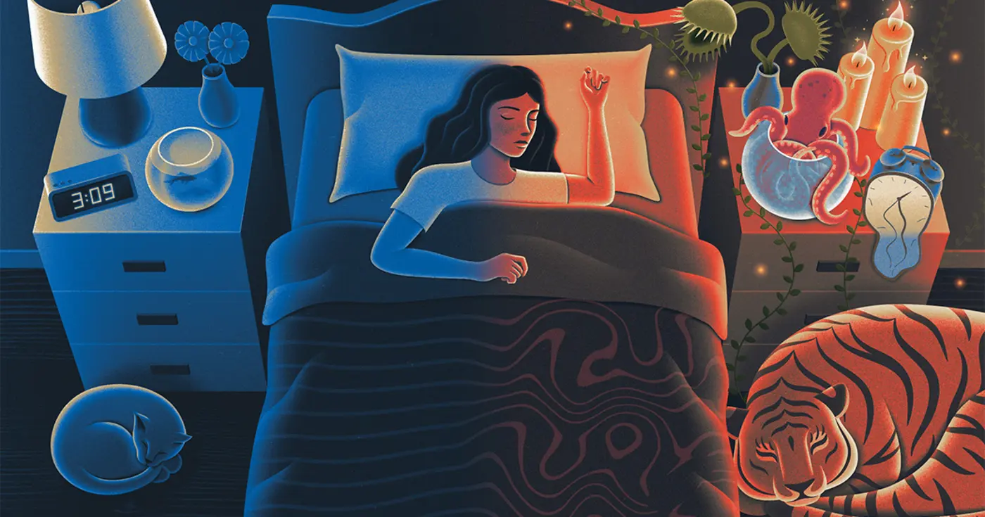 how the brain moves from waking life to sleep and back again