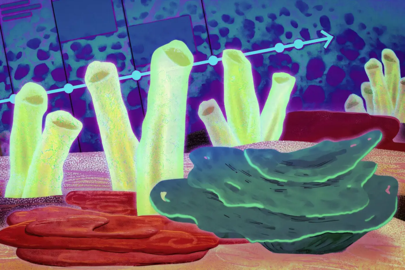 the first animals on earth may have been sea sponges chemical fossils suggest