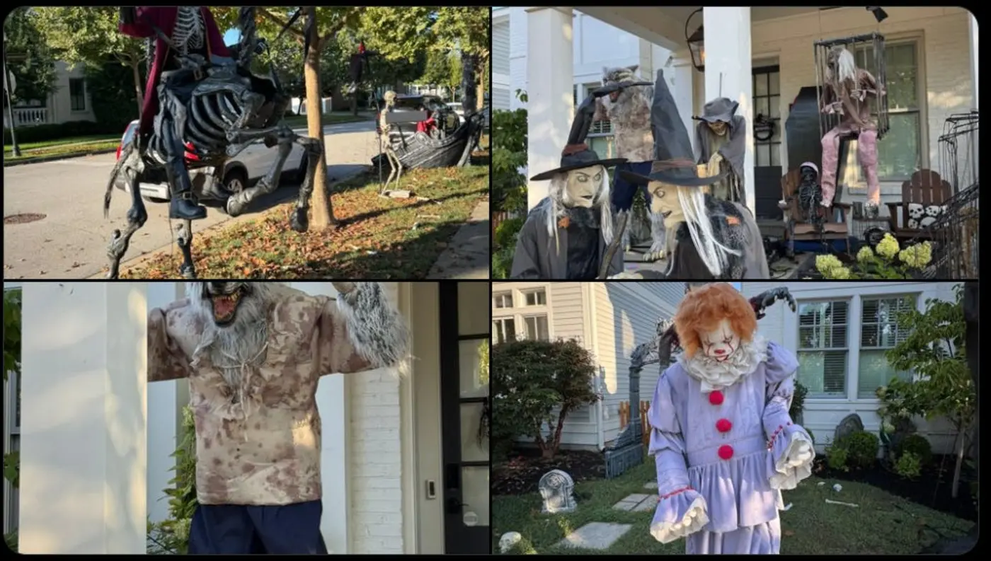 monthly roundup 35 october 2025