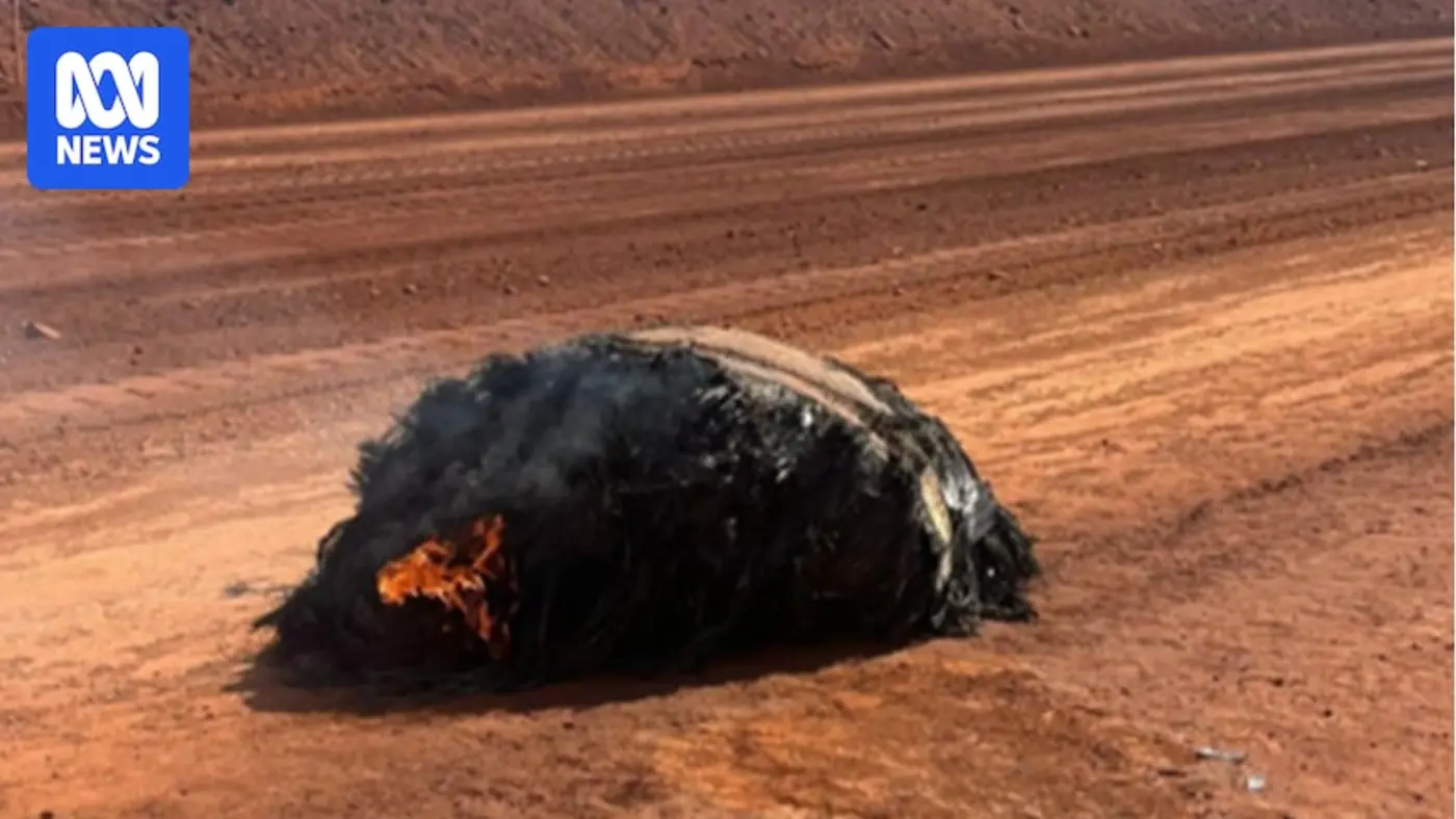space junk falls on western australian minesite
