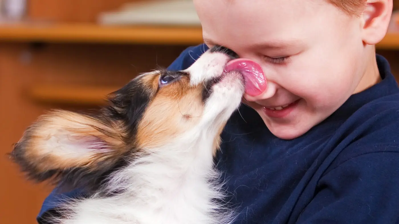 rare human syndrome may explain why dogs are so friendly 2017