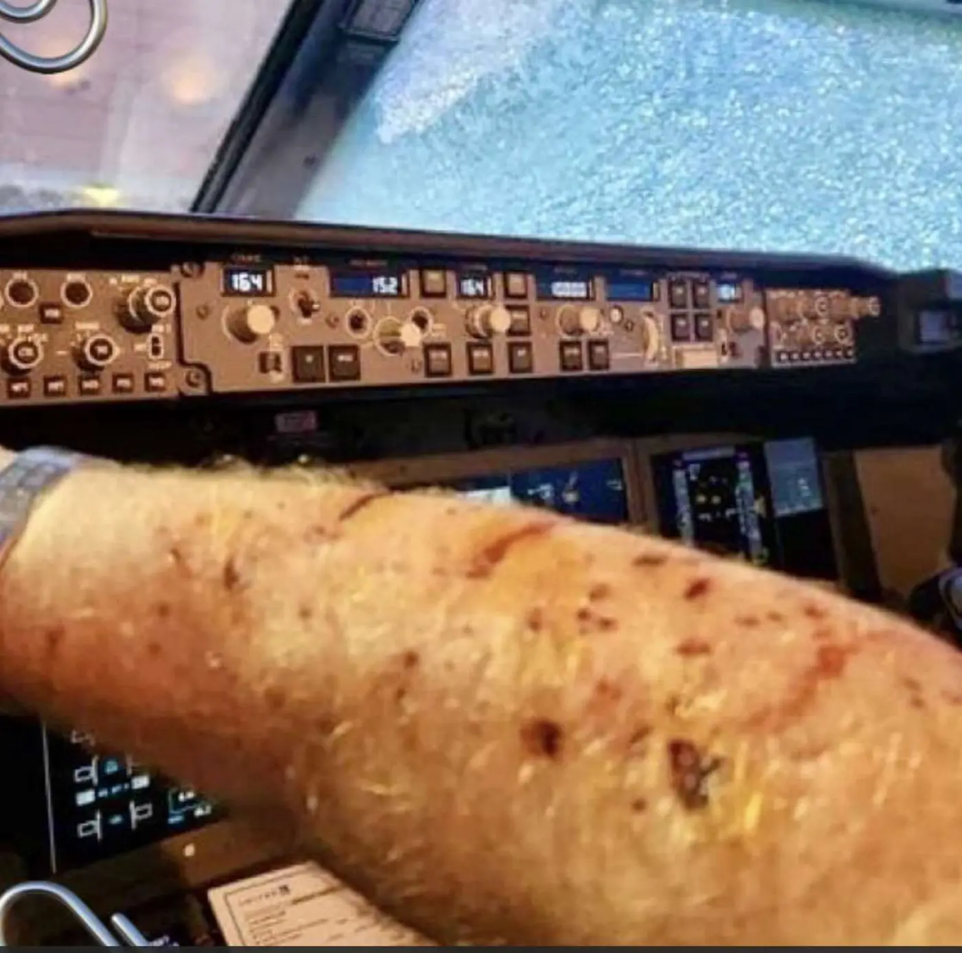 airliner hit by possible space debris