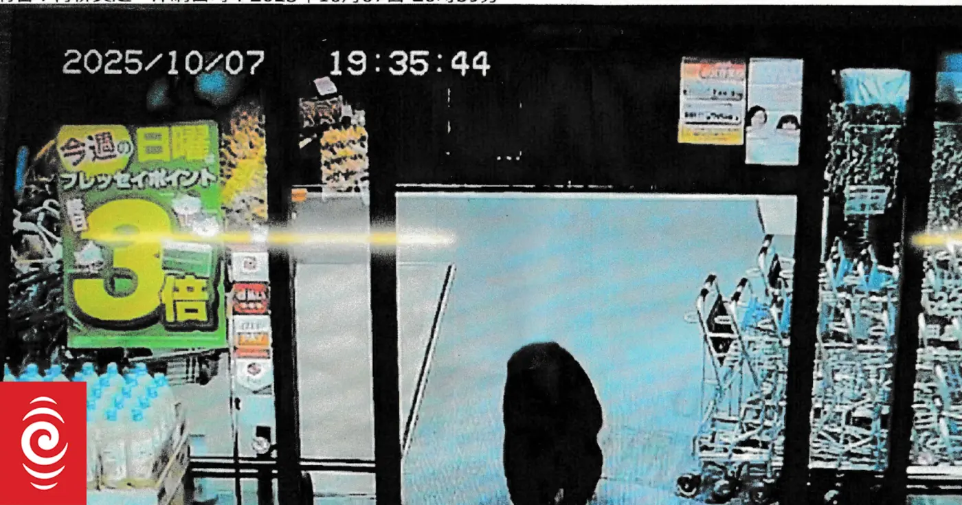 fatal bear attacks in japan hit record number