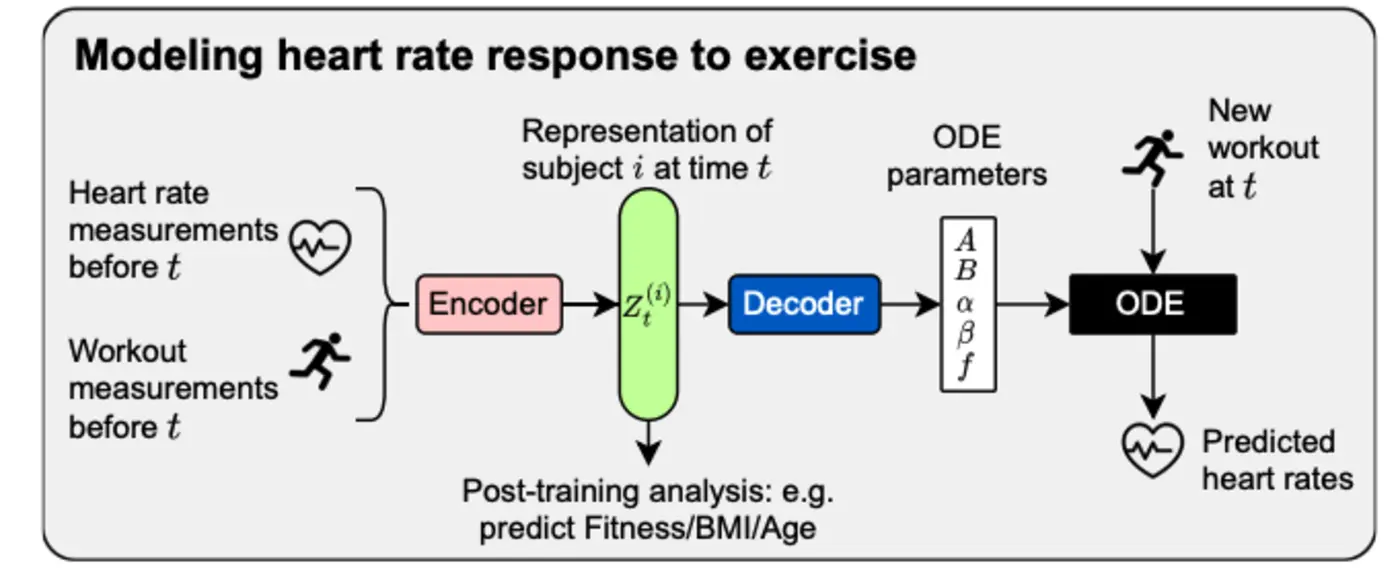 apple watch uses deep learning to estimate vo2max