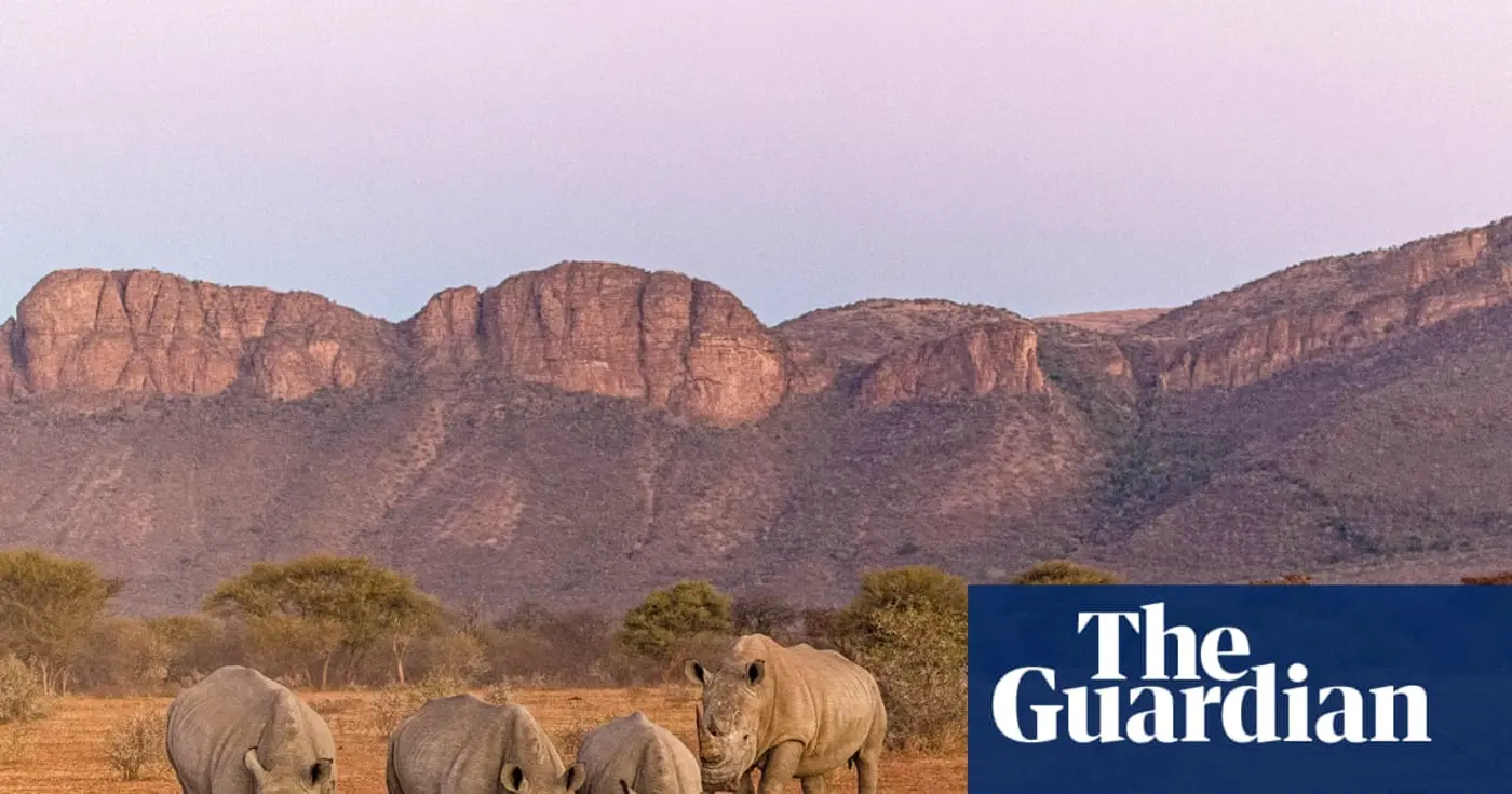 landscapes may soon be x27devoid of wild animalsx27 nature photographer