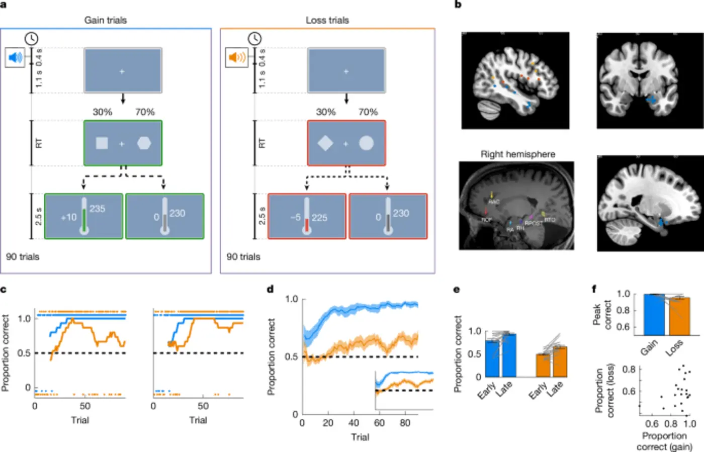 rate and noise in amygdala drive increased exploration in aversive learning