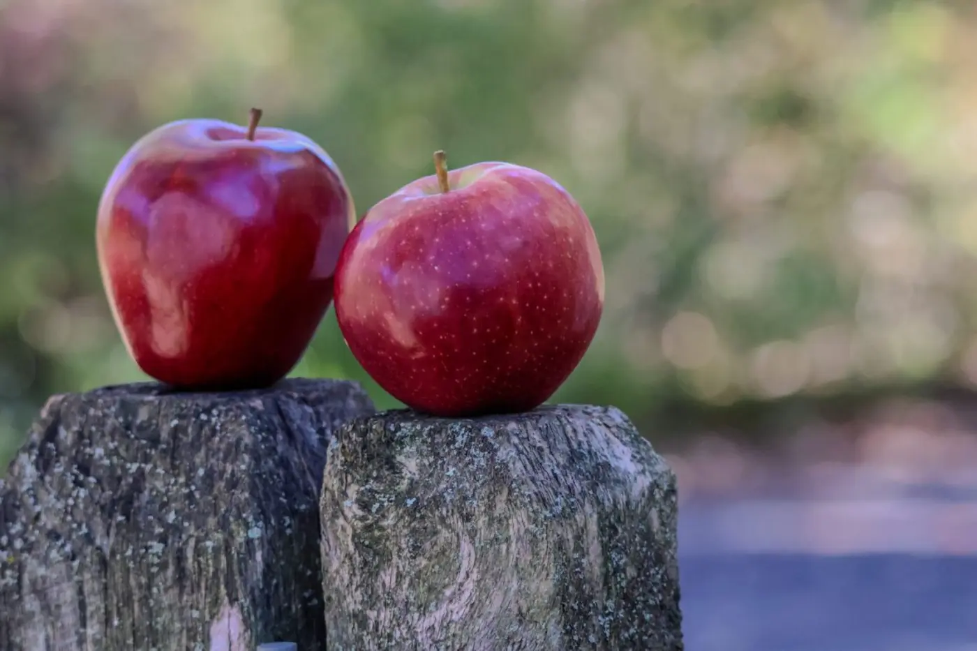 apple review 17 red delicious double feature