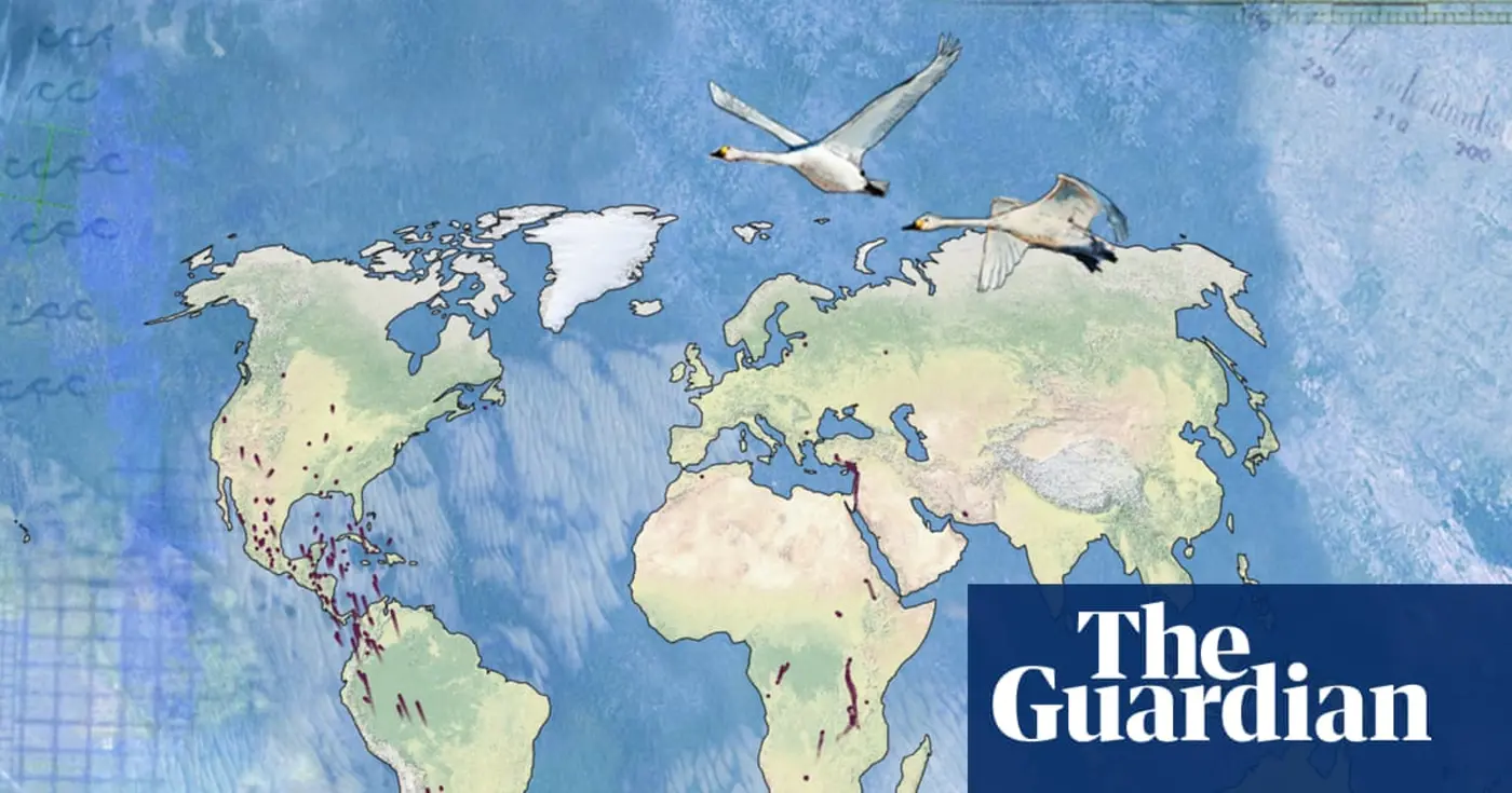 dataenhanced article showing how bird migration is changing
