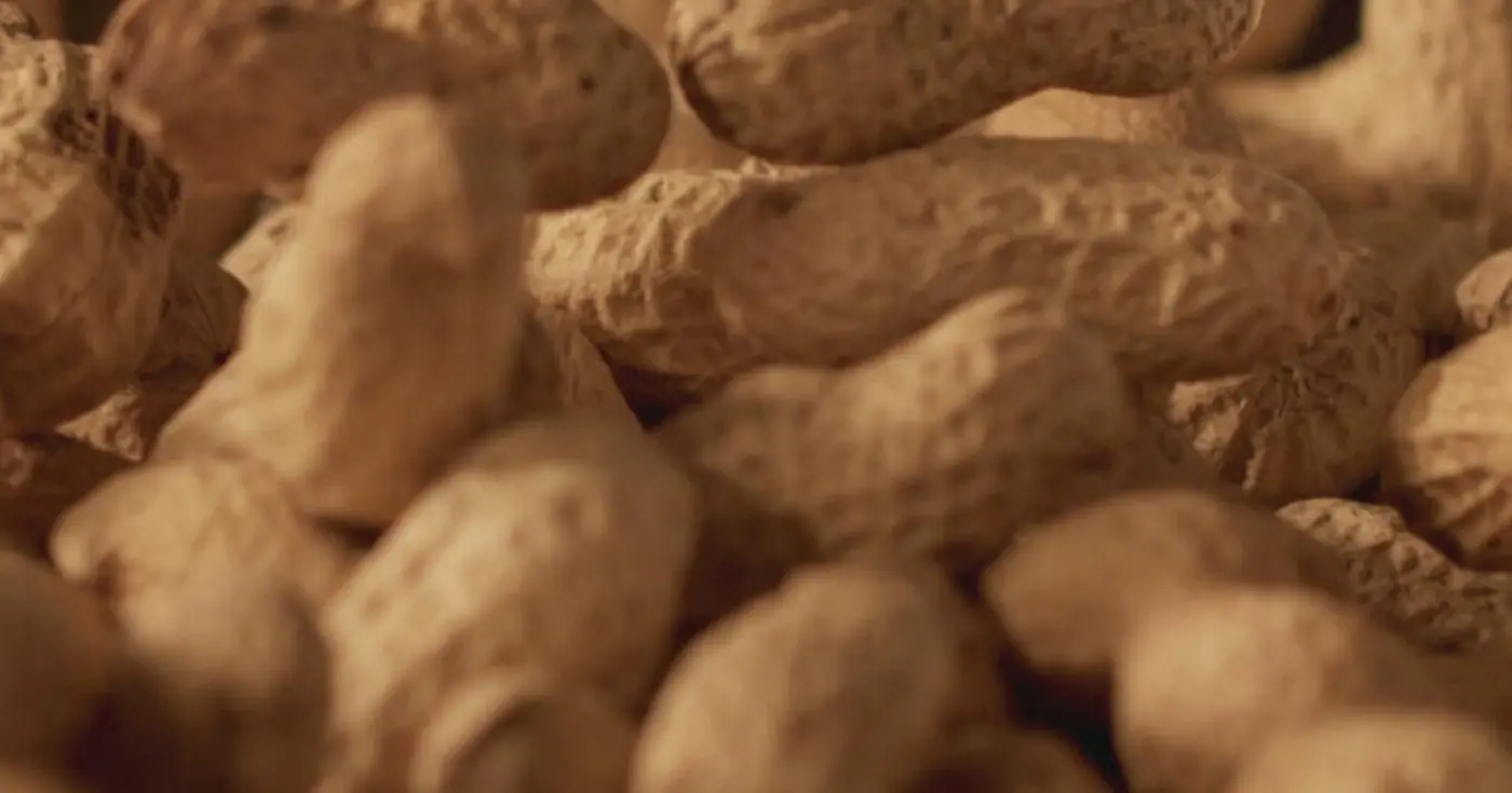 60k kids have avoided peanut allergies due to 2015 advice study finds