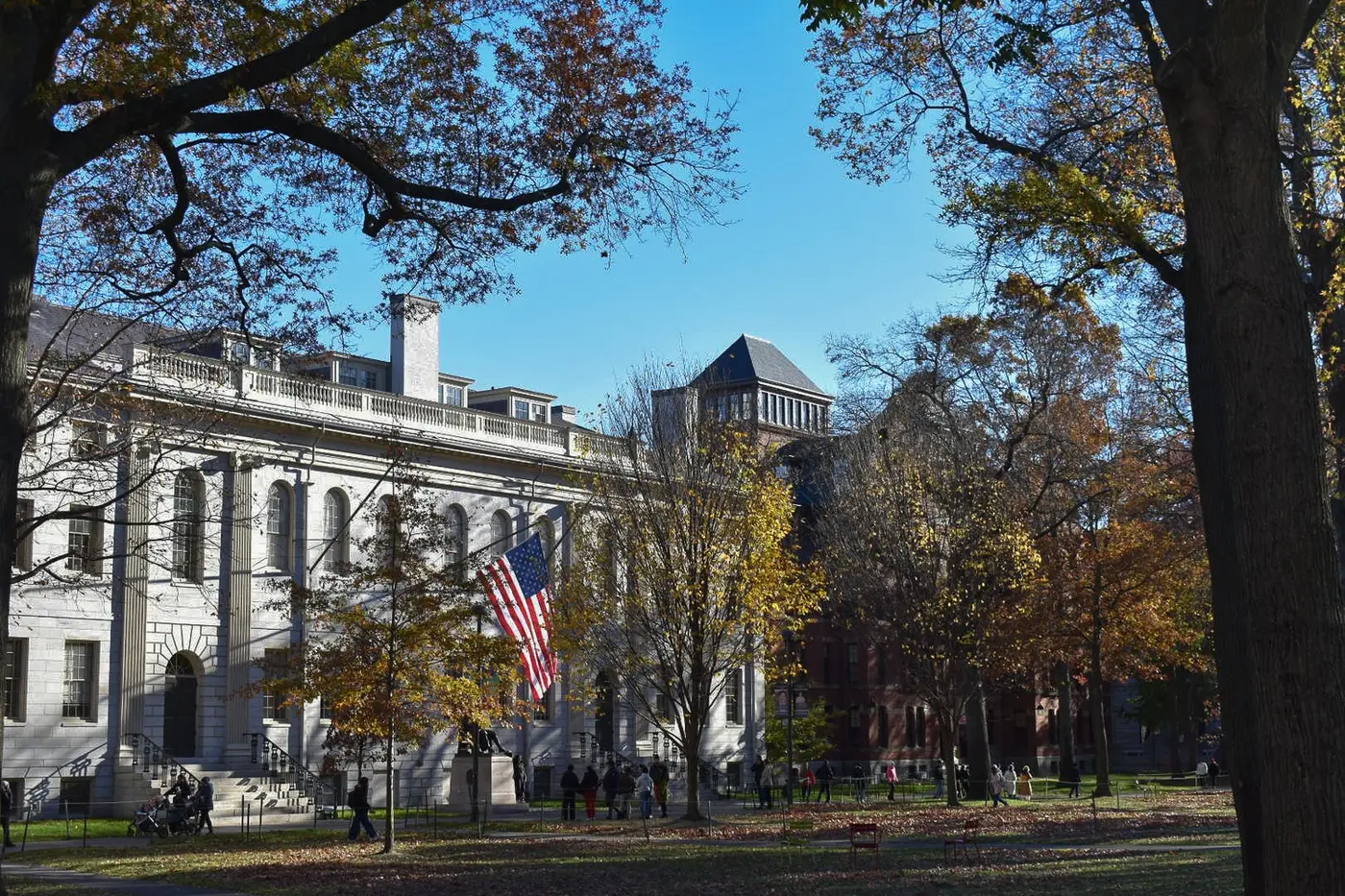 harvard fas cuts phd seats by more than half
