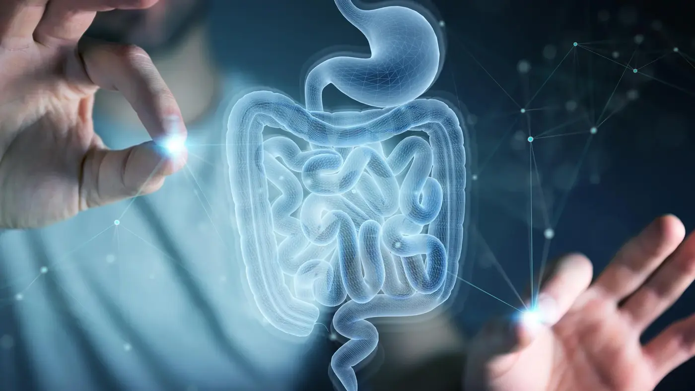 cysteine amino acid helps the gut heal itself