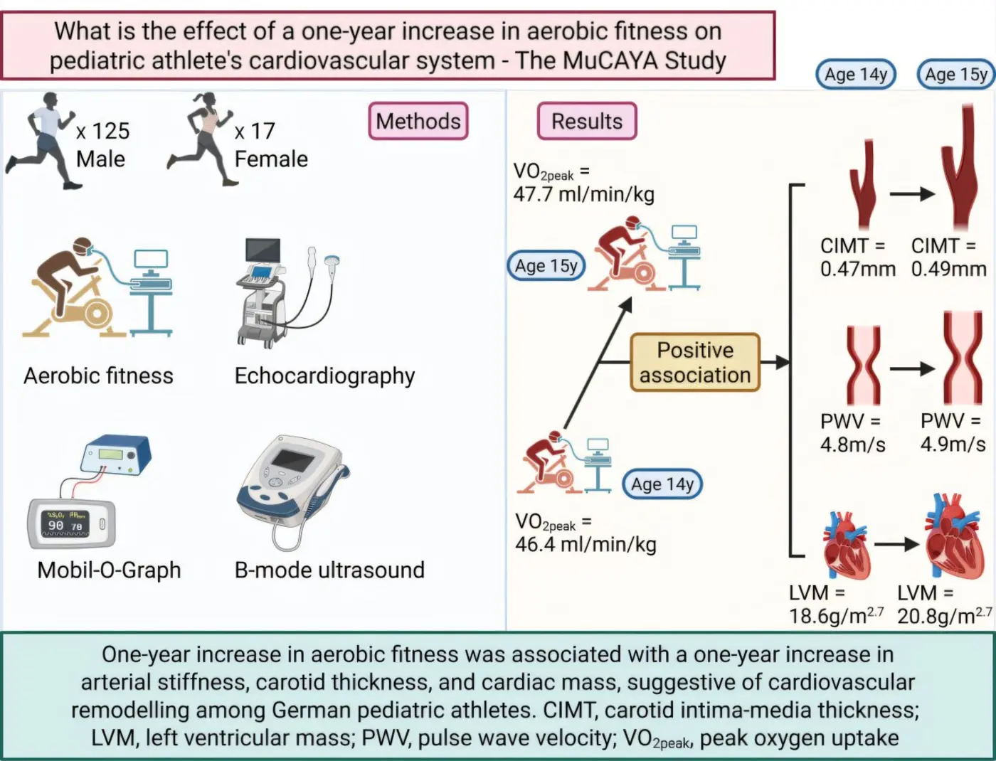 aerobic fitness in adolescent athletes linked to abnormal cardiovascular changes