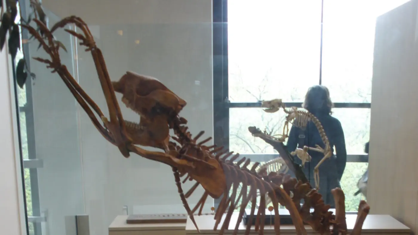 the first people to set foot in australia were fossil hunters