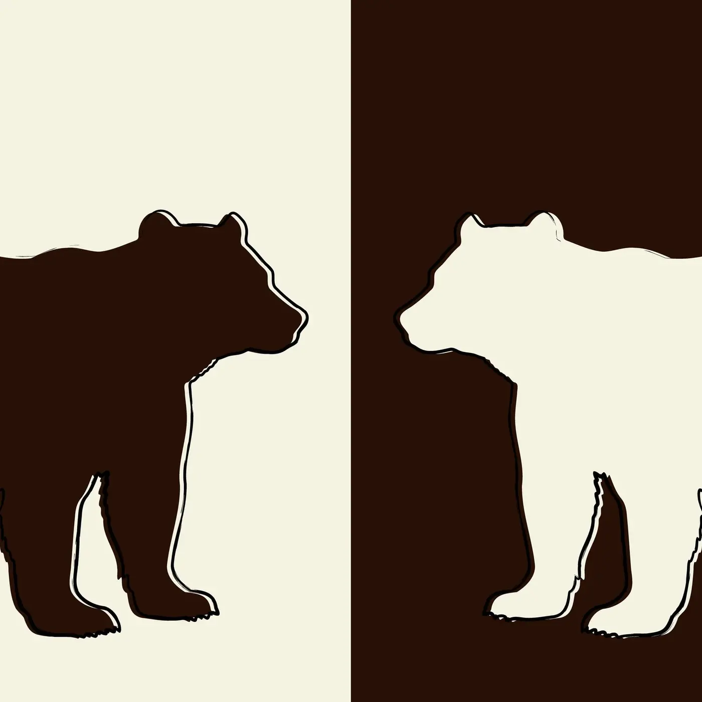bears at the border