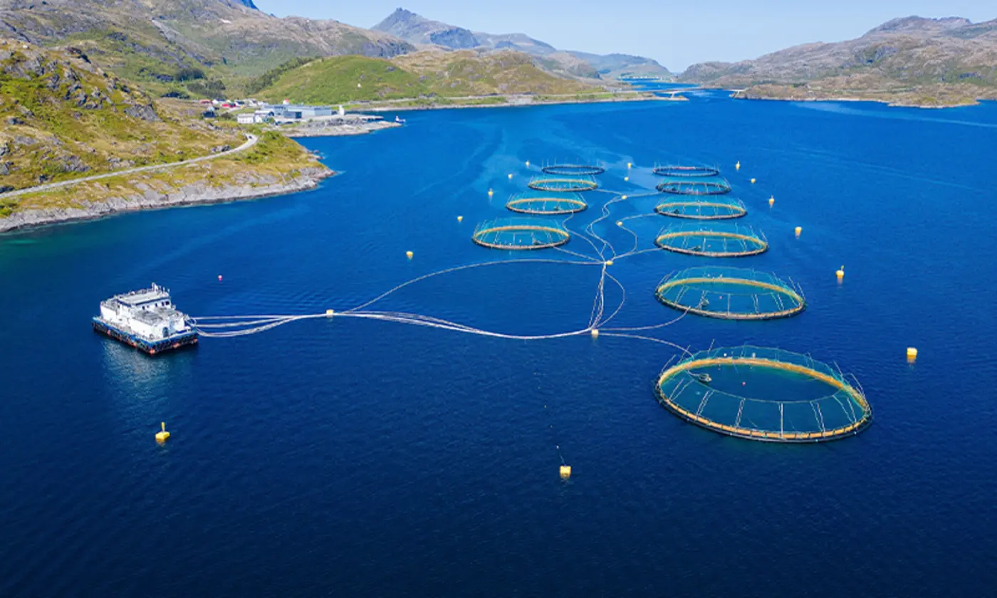 the problem with farmed seafood