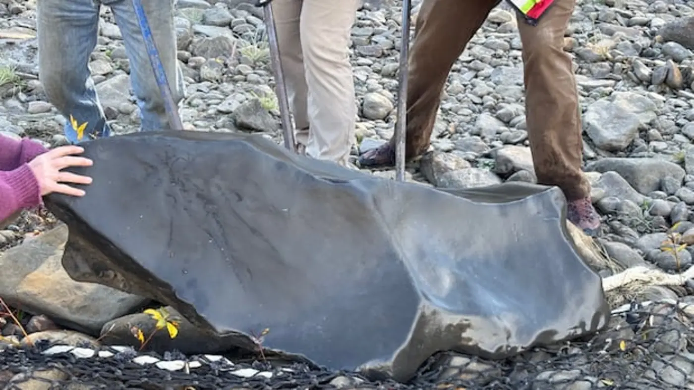 father and son discover fossilized ichthyosaur skull in bcx27s kiskatinaw valley