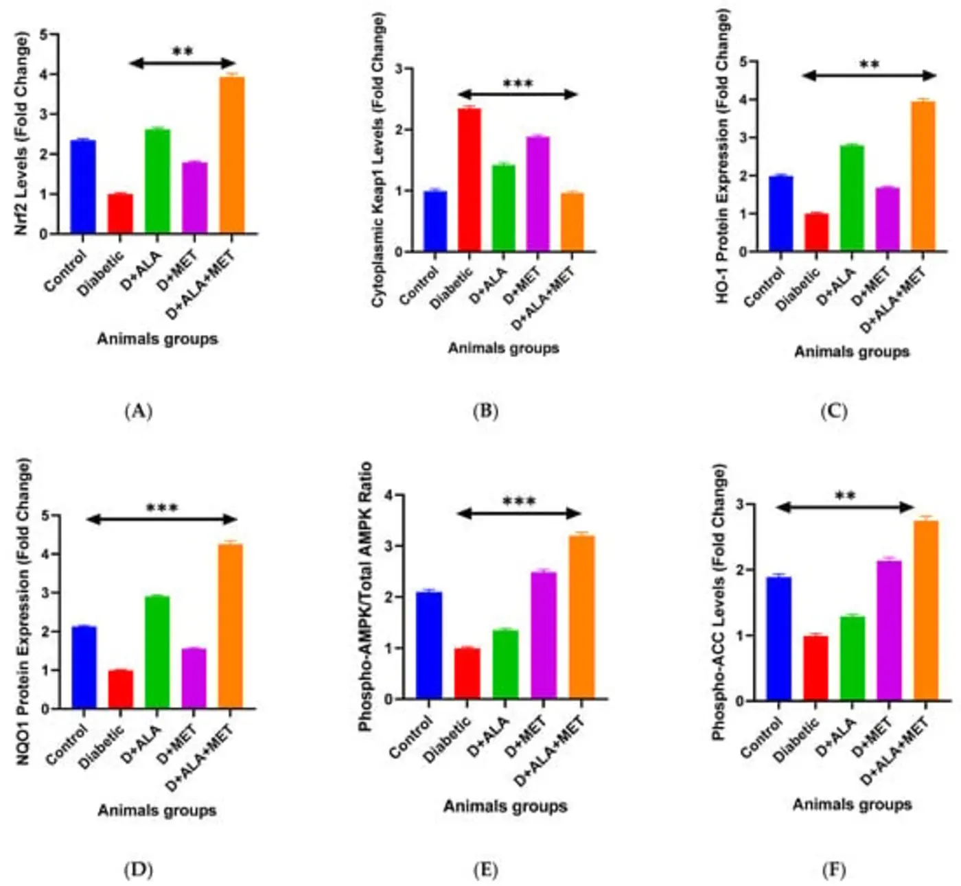 ala and metformin synergistically ameliorate t2 diabetes cognitive dysfunction