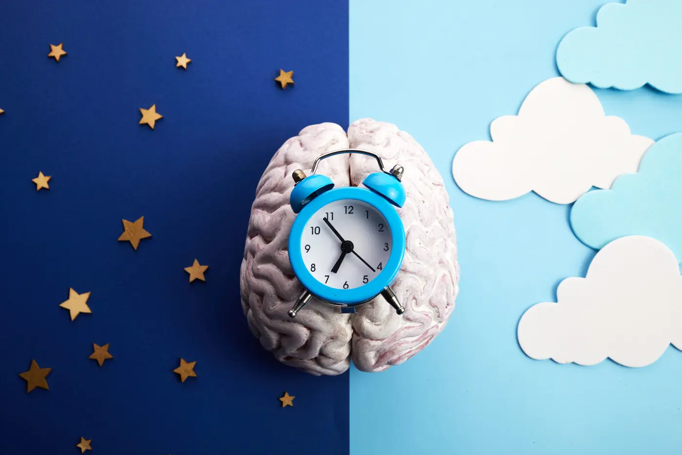 alzheimerx27s disrupts circadian rhythms of plaqueclearing brain cells