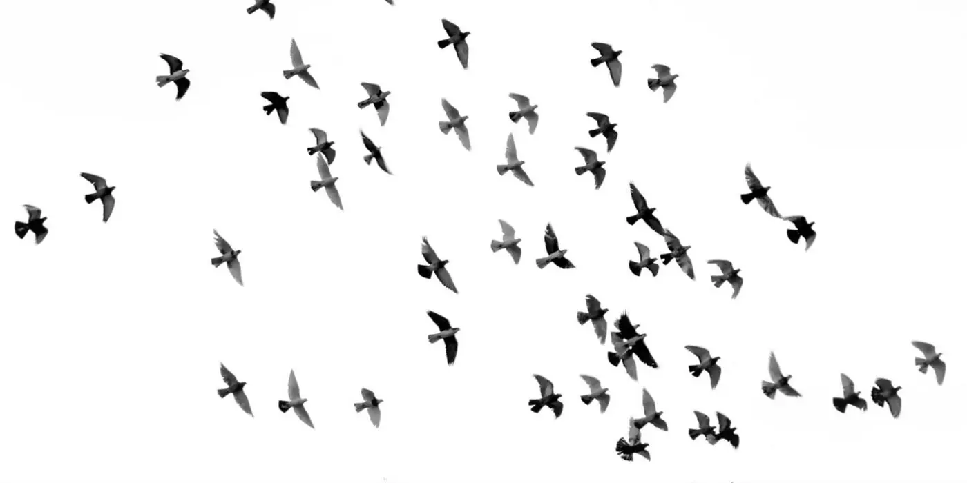 what if hard work felt easier